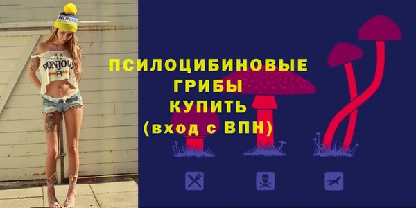мдма Новодвинск