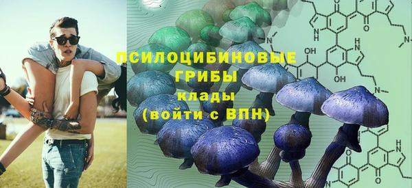 винт Аркадак