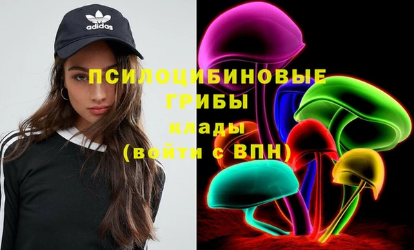винт Аркадак