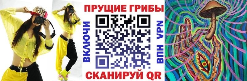 Псилоцибиновые грибы Psilocybine cubensis Циолковский