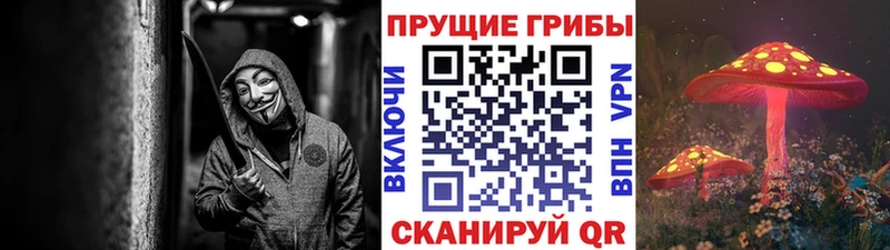 Галлюциногенные грибы Psilocybine cubensis  хочу наркоту  Циолковский 